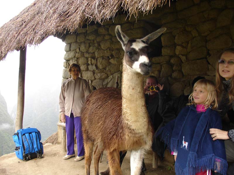 Machu-Picchu