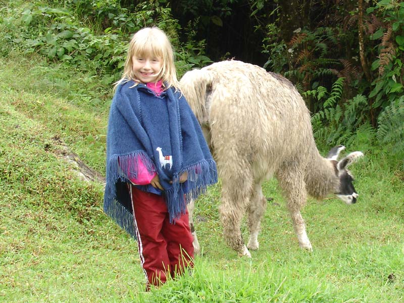 Machu-Picchu