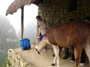 Machu-Picchu