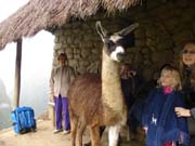 Machu-Picchu